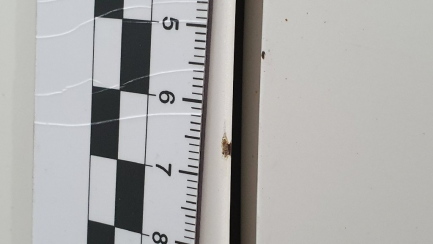 Zdjęcie przedmiotu: Honda Accord 2.4 Type S