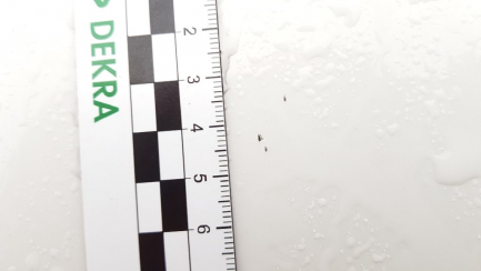 Zdjęcie przedmiotu: Bmw 318I sedan