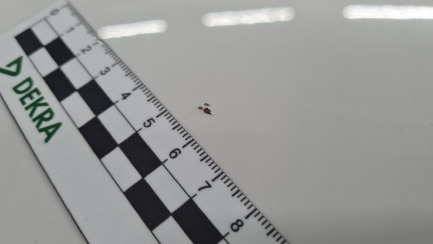 Zdjęcie przedmiotu: Seat Ibiza ST 1.2 TSI Reference