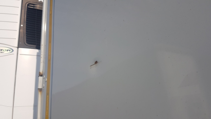 Zdjęcie przedmiotu: KRONE PROFI LINER SDP27 curtain semi-trailer