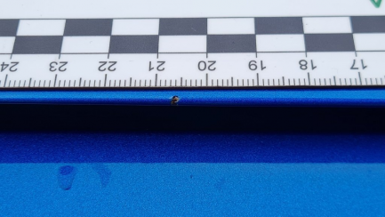 Zdjęcie przedmiotu: Ford Focus 1.0 EcoBoost ST-Line Business