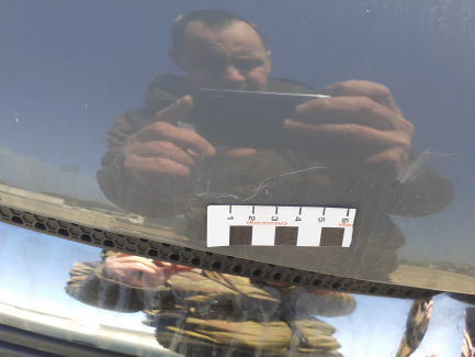 Zdjęcie przedmiotu: Opel Vivaro 1.6 CDTI E6 2.9t L2H1 Edition