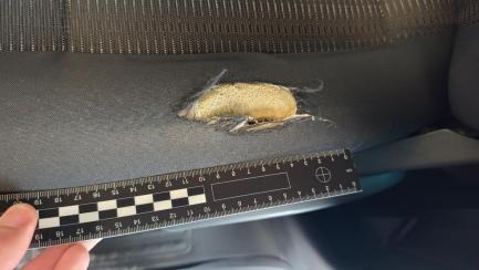 Zdjęcie przedmiotu: Volkswagen Caravelle T6 TDi E6 3.0t Comfortline