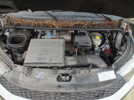 Zdjęcie przedmiotu: Iveco Daily 35C15 V L (19,6m3) Euro 5