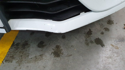 Zdjęcie przedmiotu: Renault Megane IV Grandtour 1.3 TCe FAP Life