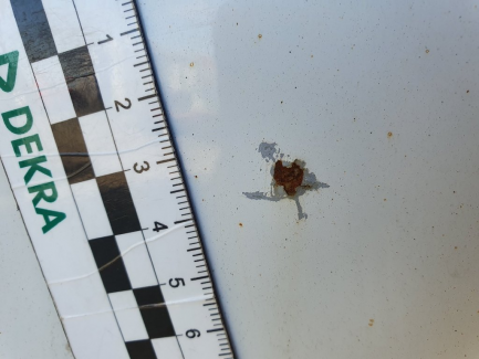 Zdjęcie przedmiotu: Opel Movano CDTI L3H2 Euro 5