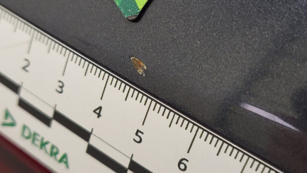 Zdjęcie przedmiotu: BMW X5 xDrive45e sport-aut