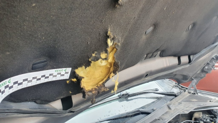 Zdjęcie przedmiotu: Jaguar Xf 2.0 i4D Portfolio aut