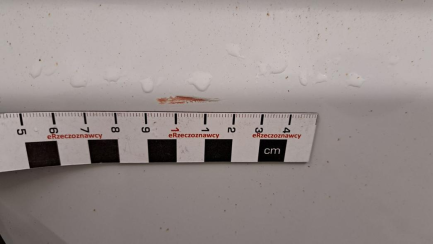 Zdjęcie przedmiotu: Fiat Ducato L3H2 Oświadczenie o utracie DR