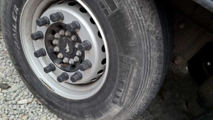 Zdjęcie przedmiotu: SCHMITZ SKO 24 35.0t Refrigerator