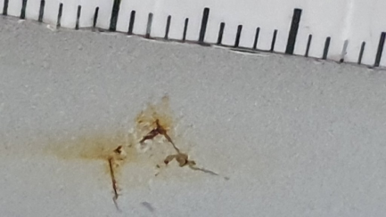 Zdjęcie przedmiotu: Dacia Duster Combi