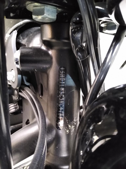 Zdjęcie przedmiotu: Harley Davidson Sportster Roadster