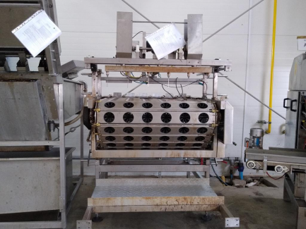 Zdjęcie przedmiotu: Apple peeler PND S.r.l. Fruit Processing Machinery Italy PEELING MACHINE PL6 160 BG