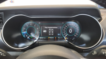 Zdjęcie przedmiotu: Ford Mustang 5.0 V8 Mach 1