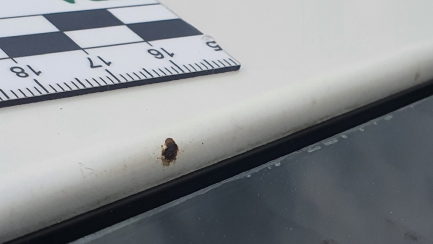 Zdjęcie przedmiotu: Lexus GS 350 Prestige AWD