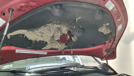 Zdjęcie przedmiotu: Toyota C-HR 1.8 Hybrid Selection