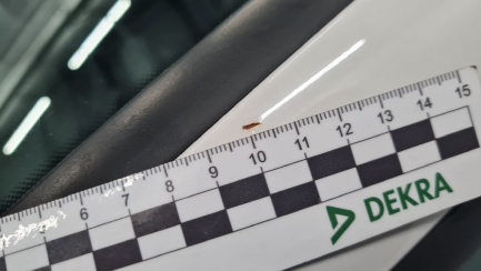 Zdjęcie przedmiotu: Seat Ibiza ST 1.2 TSI Reference