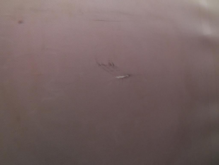 Zdjęcie przedmiotu: FLIEGL SDS 350 Curtain trailer MEGA