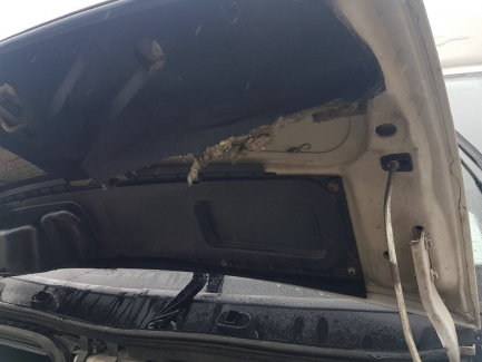 Zdjęcie przedmiotu: Fiat Ducato Maxi MJ L3 Euro 5 + elevator