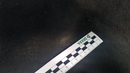 Zdjęcie przedmiotu: Audi S5 3.0 TFSI Quattro Tiptronic