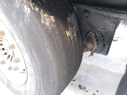 Zdjęcie przedmiotu: K&auml;ssbohrer Maxima Тентований (&laquo;фіранка&raquo;)