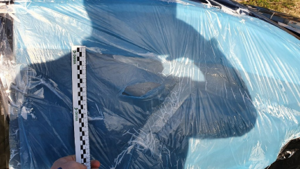 Zdjęcie przedmiotu: Ford Focus 1.0 EcoBoost Titanium Business