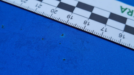 Zdjęcie przedmiotu: Ford Focus 1.0 EcoBoost ST-Line Business