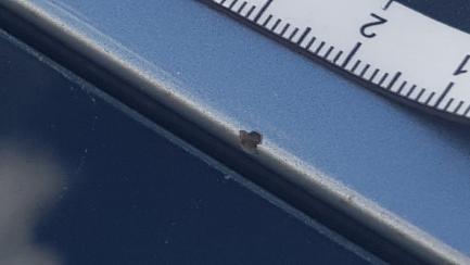 Zdjęcie przedmiotu: Audi Q5 2.0 TFSI Quattro S tronic