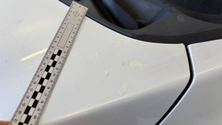 Zdjęcie przedmiotu: Ford F150 3.1t LARIAT