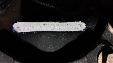 Zdjęcie przedmiotu: Ford F-MAX 12.7 TDCi E6d 18.0t