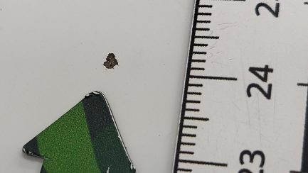 Zdjęcie przedmiotu: Volkswagen Tiguan 2.0 TDI SCR 4Mot. Life DSG