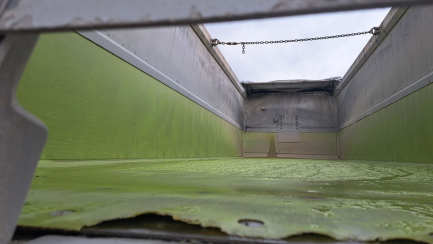 Zdjęcie przedmiotu: WIELTON NW-3 Dump Steel
