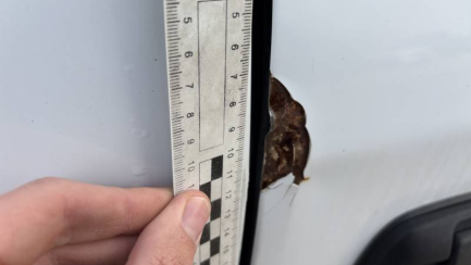 Zdjęcie przedmiotu: Iveco 35-120 Daily 35S12 E6 3.5t