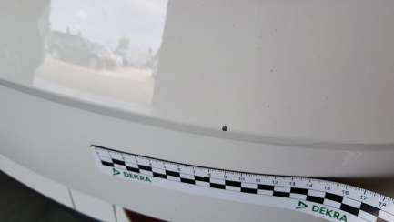 Zdjęcie przedmiotu: Skoda Octavia