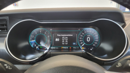 Zdjęcie przedmiotu: Ford Mustang 5.0 V8 Mach 1