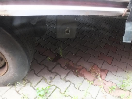 Zdjęcie przedmiotu: FLIEGL SDS 350 Curtain trailer MEGA