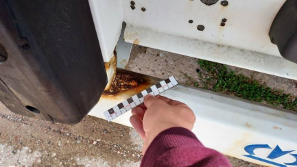 Zdjęcie przedmiotu: KRONE SD Chłodnia