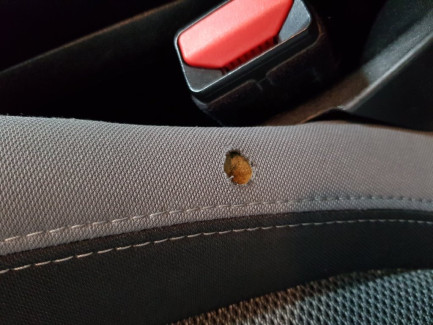 Zdjęcie przedmiotu: Fiat Tipo 1.6 E-Torq 16v Pop aut