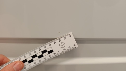 Zdjęcie przedmiotu: RENAULT/CARPOL MASTER 2.0 dCi E6e 3.5t L3H2 Extra Brygadowy