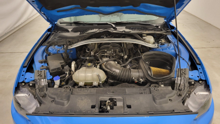 Zdjęcie przedmiotu: Ford Mustang 5.0 V8 Mach 1
