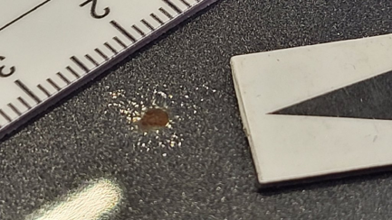 Zdjęcie przedmiotu: Toyota Avensis Combi 1.8 Premium MS