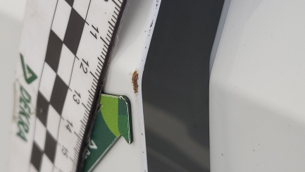 Zdjęcie przedmiotu: Volkswagen up! 1.0 move up! Oświadczenie o utracie DR