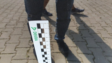 Zdjęcie przedmiotu: TOYOTA, RAV4 16-18, Hybrid Premium 4x2