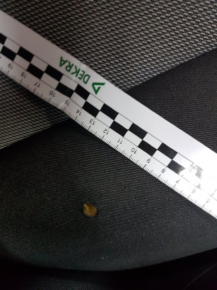 Zdjęcie przedmiotu: Skoda Fabia 1.6 TDI DPF Active Plus