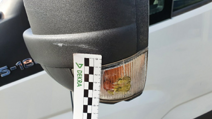 Zdjęcie przedmiotu: 