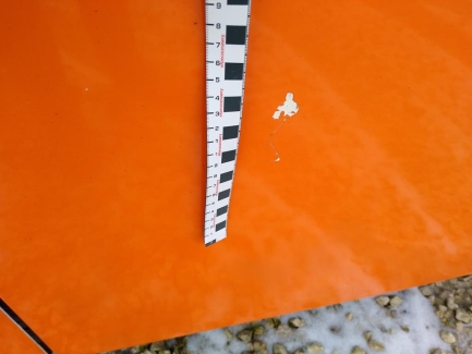 Zdjęcie przedmiotu: SCANIA HIGER A-SERIES TOURING HD bus