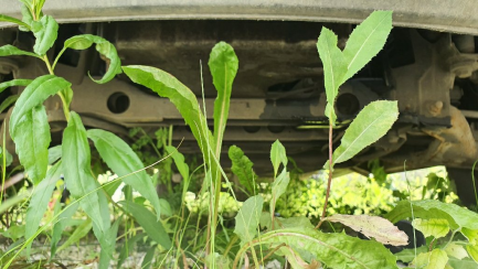 Zdjęcie przedmiotu: Mercedes-benz  Sprinter 313 CDI Euro 5 2143ccm - 129HP 3,5t 09-13