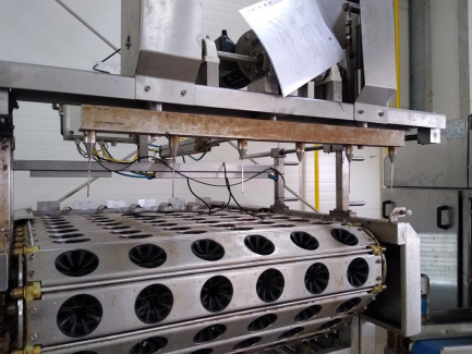 Zdjęcie przedmiotu: Apple peeler PND S.r.l. Fruit Processing Machinery Italy PEELING MACHINE PL6 160 BG