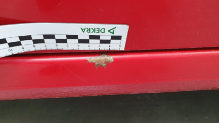 Zdjęcie przedmiotu: SKODA, Octavia III Kombi 13-17,  1.6 TDI Ambition