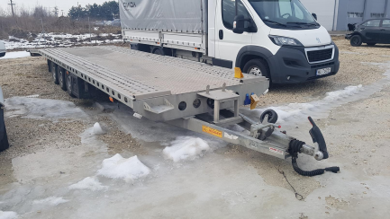 Zdjęcie przedmiotu: WIOLA W5